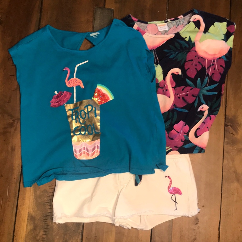 Gymboree outfit
